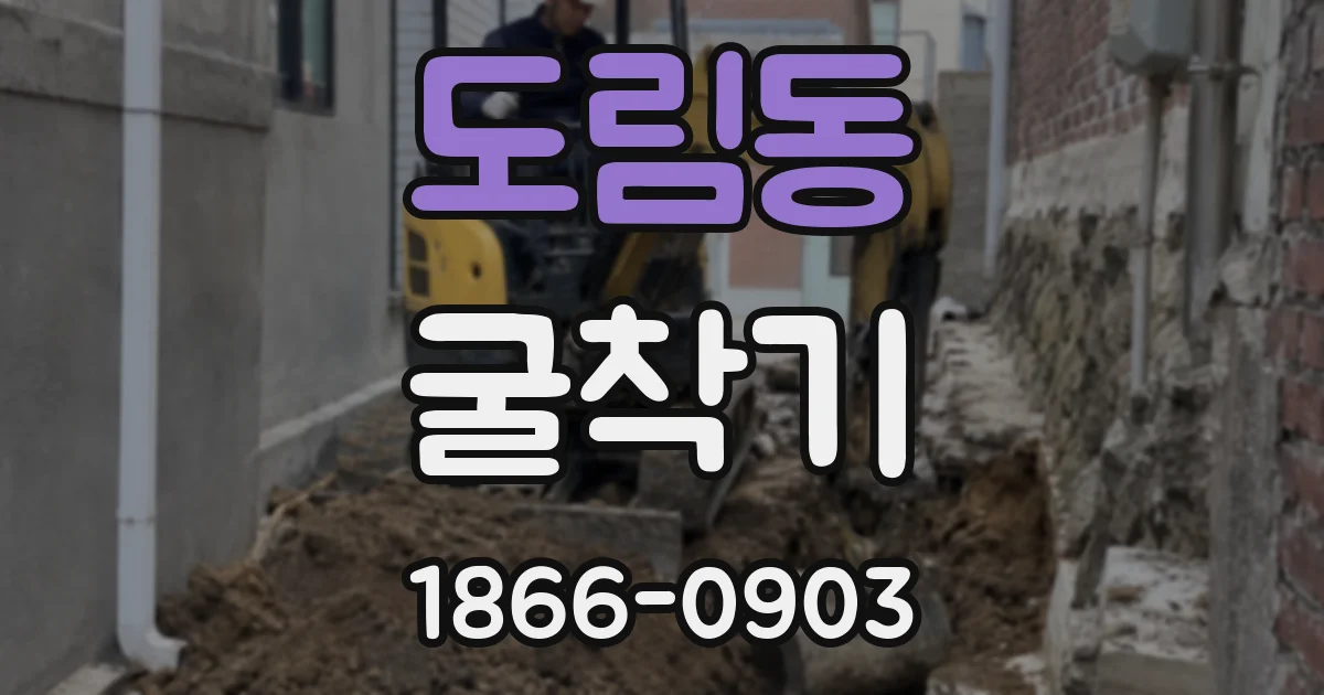 도림동 굴착기