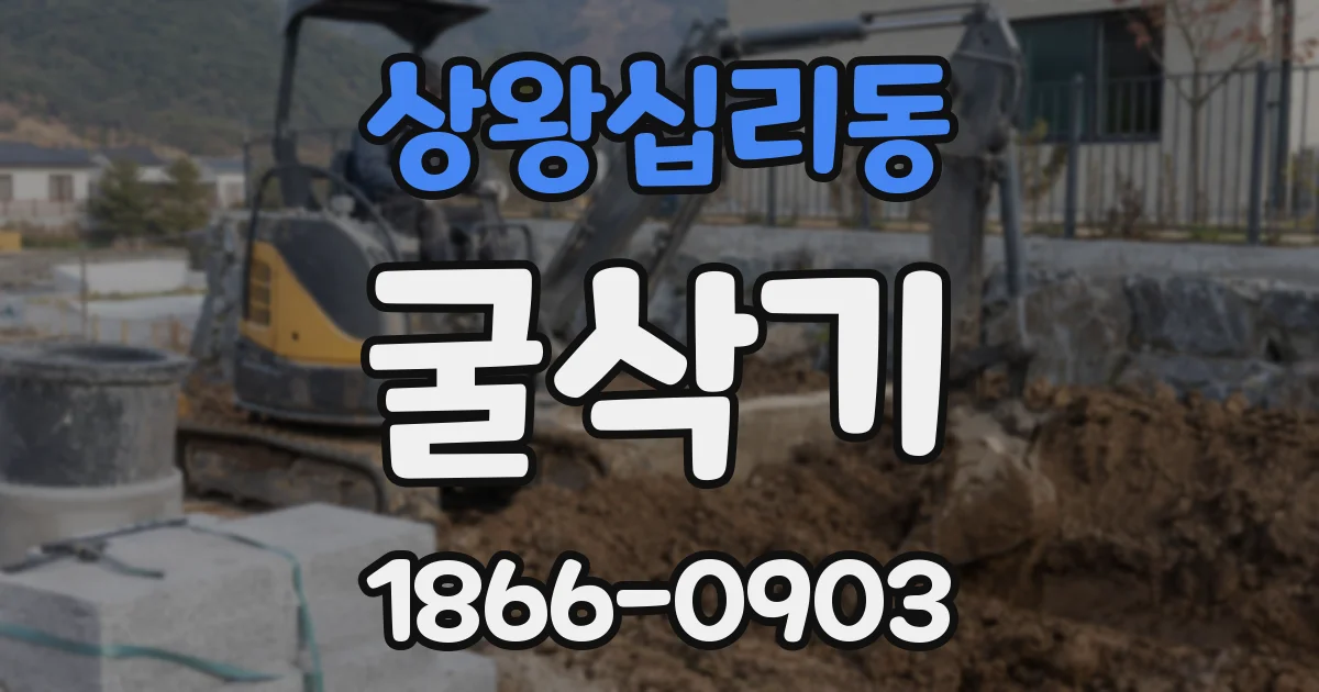 상왕십리동 굴삭기