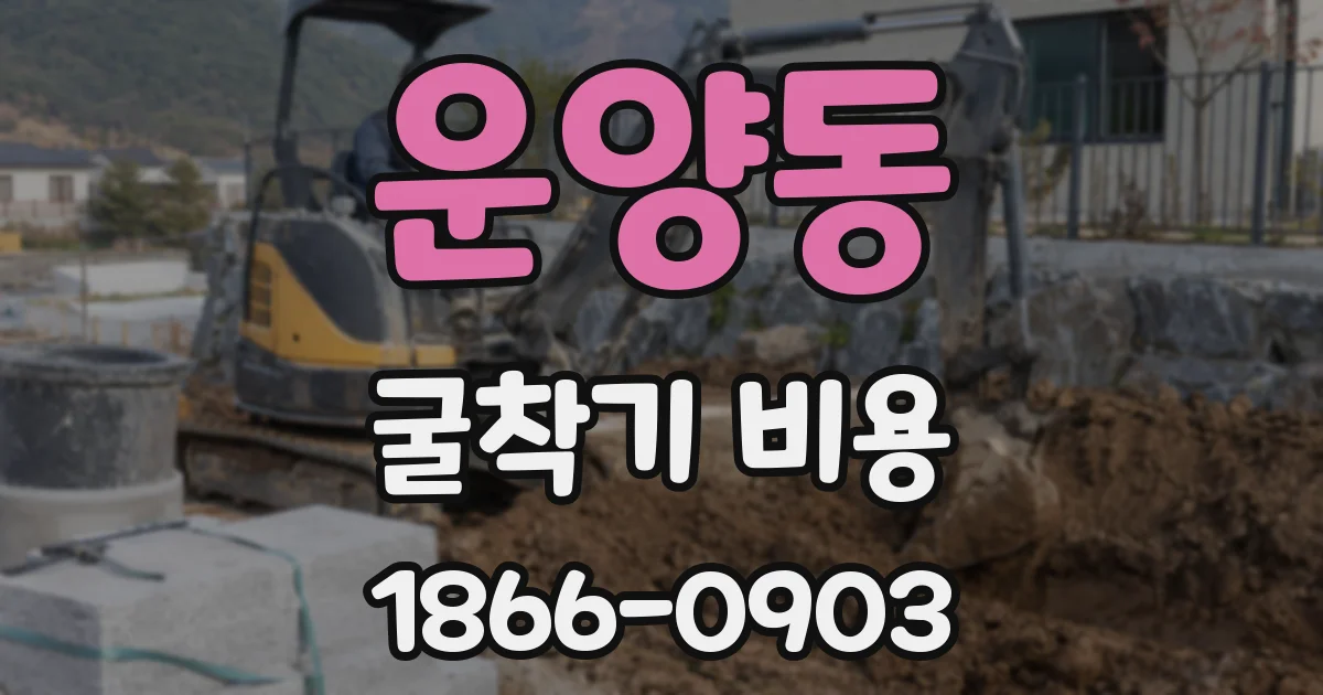 운양동 굴착기 비용