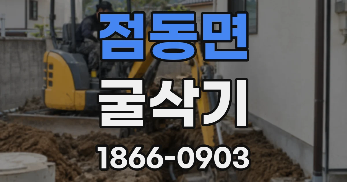 점동면 굴삭기