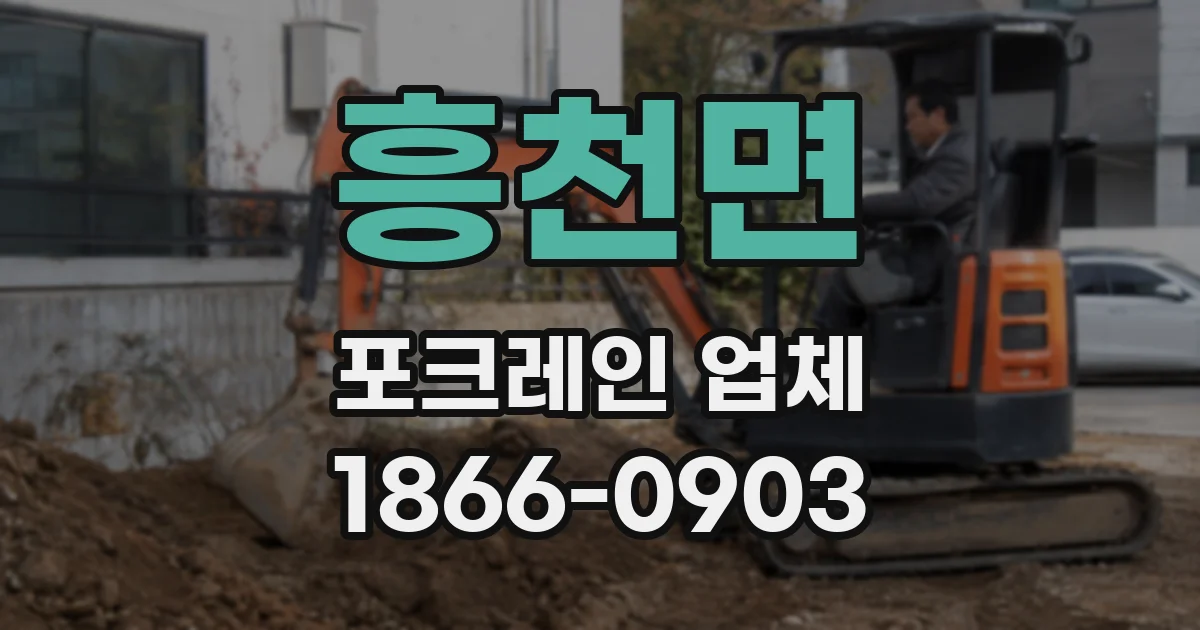 흥천면 포크레인 업체
