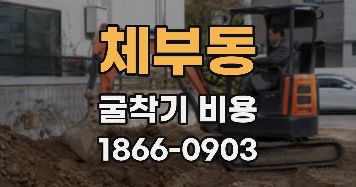 체부동 굴착기 비용
