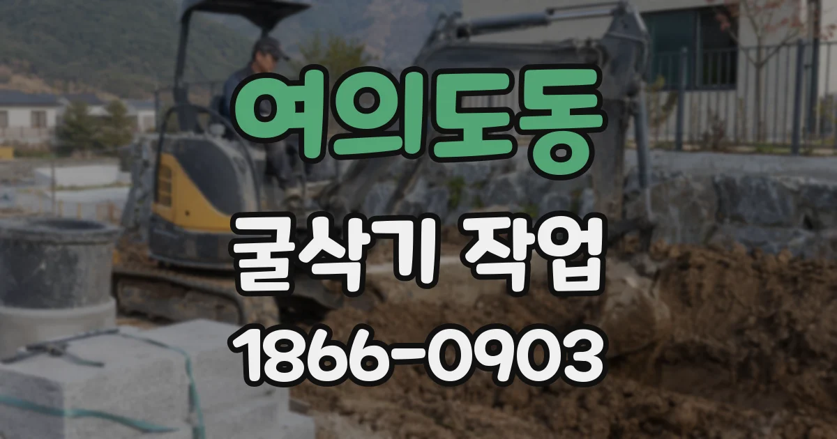 여의도동 굴삭기 작업