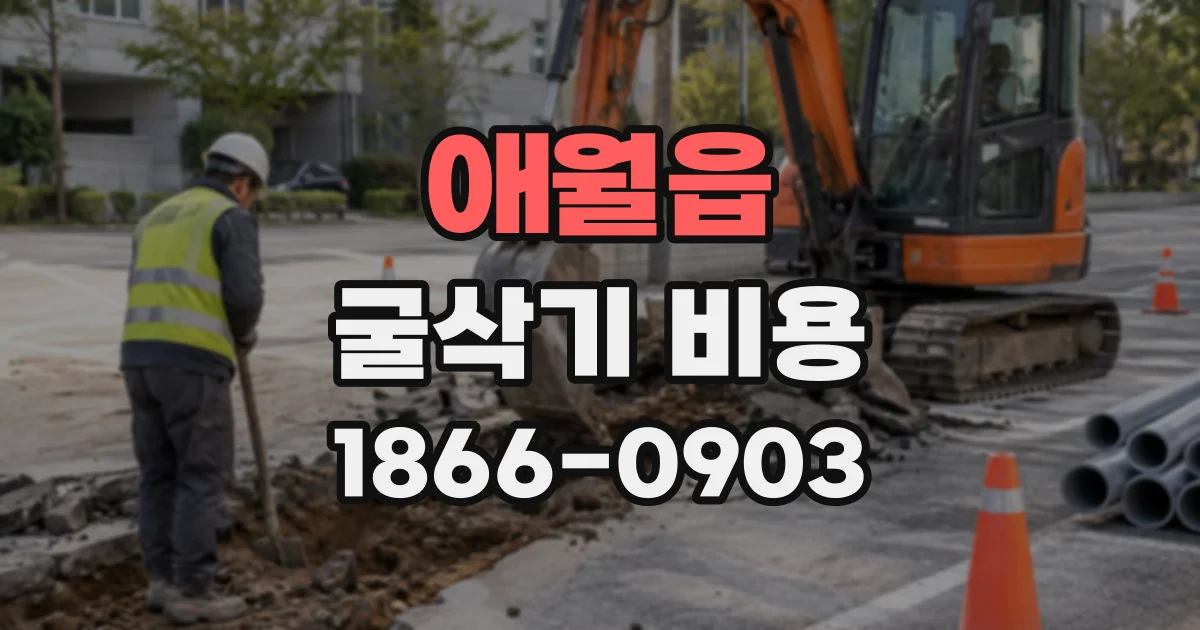 애월읍 굴삭기비용