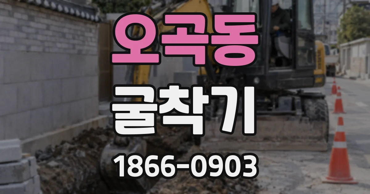 오곡동 굴착기