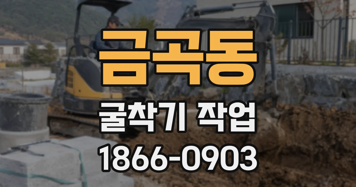 금곡동 굴착기 작업