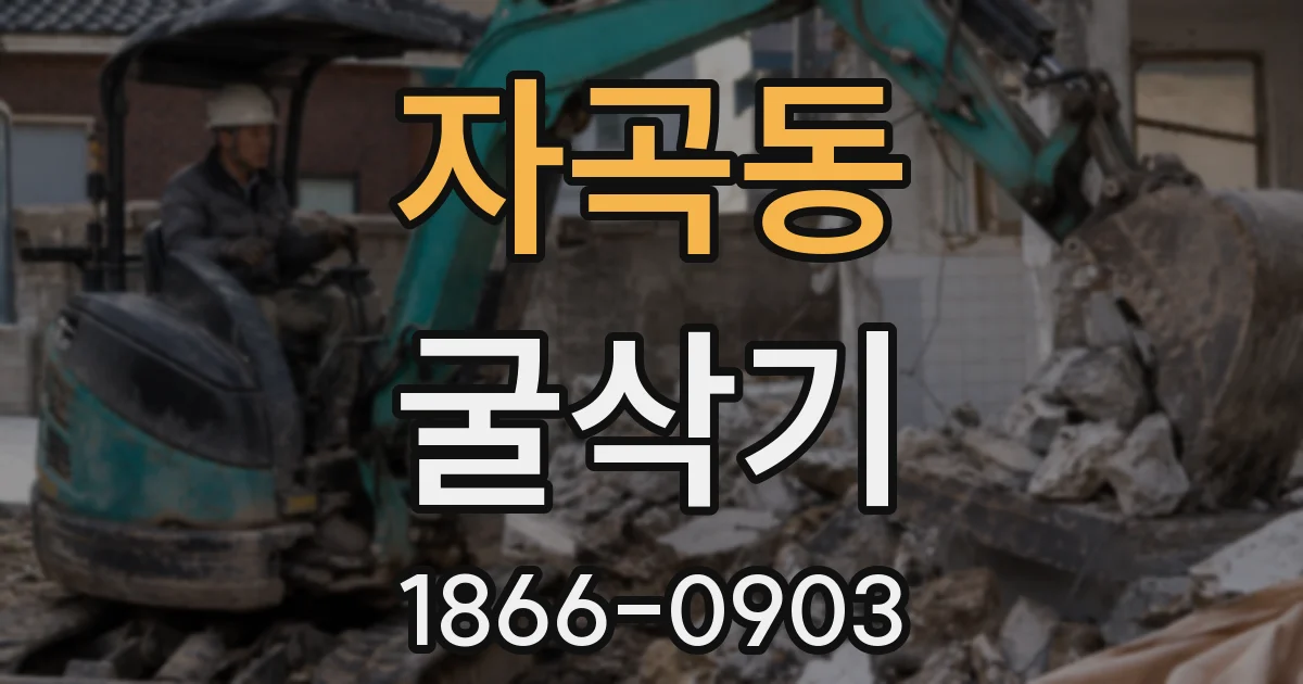 자곡동 굴삭기
