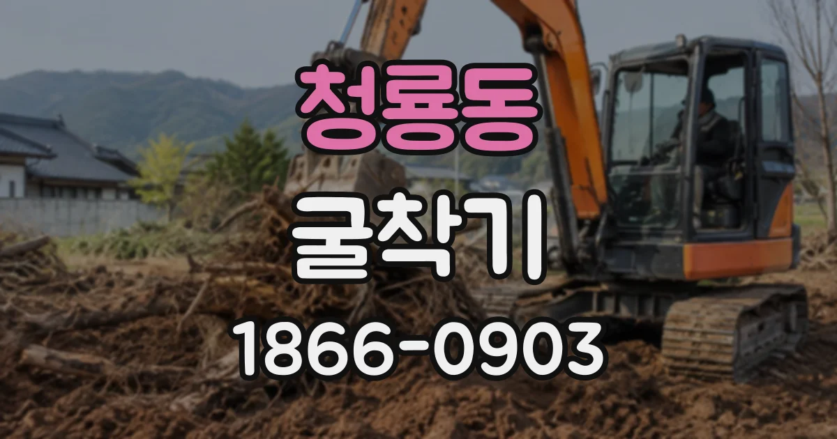 청룡동 굴착기