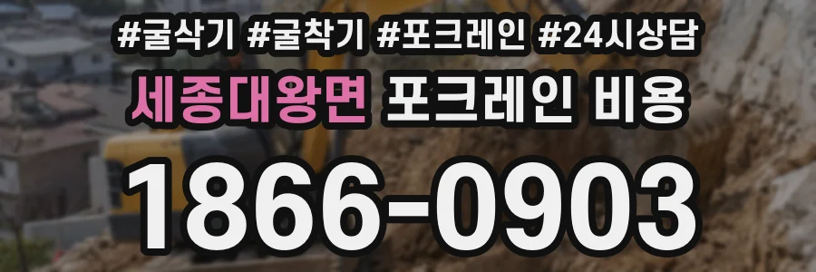 세종대왕면 포크레인 비용