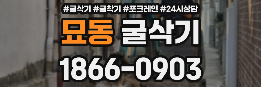 묘동 굴삭기