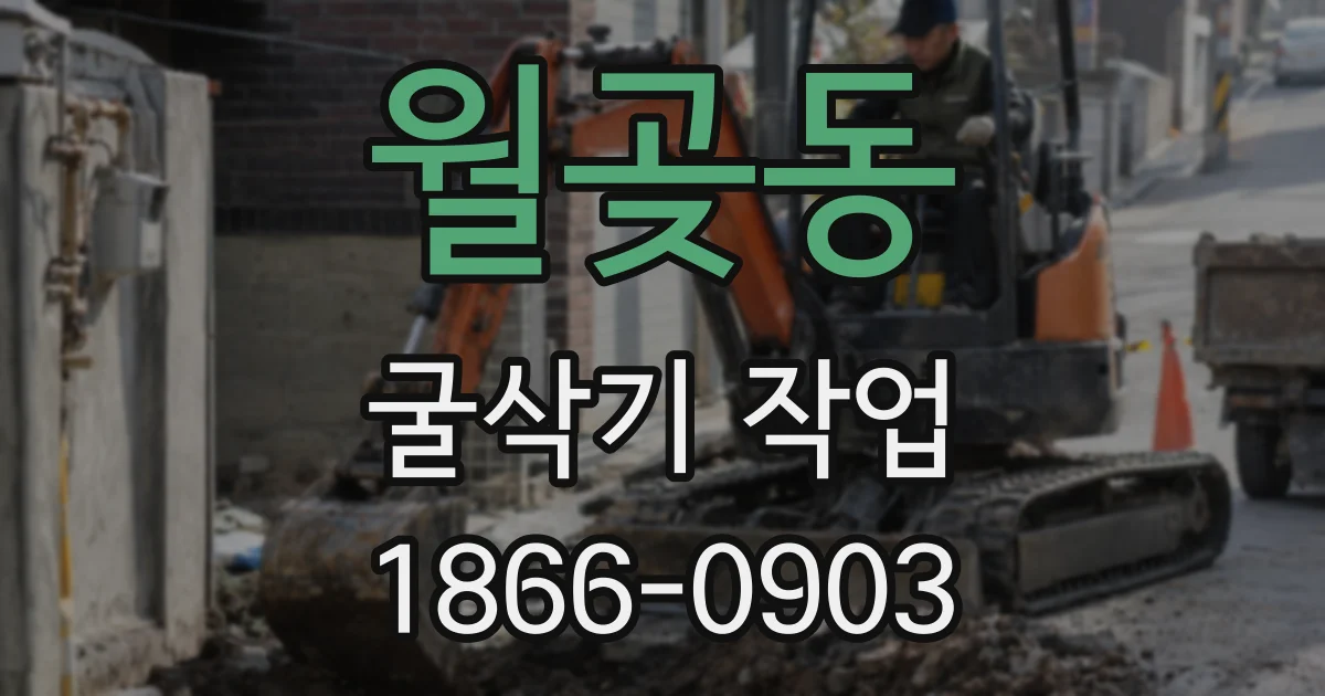 월곶동 굴삭기 작업