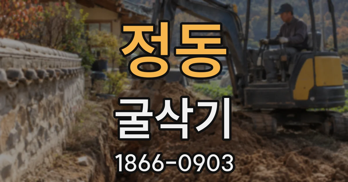정동 굴삭기