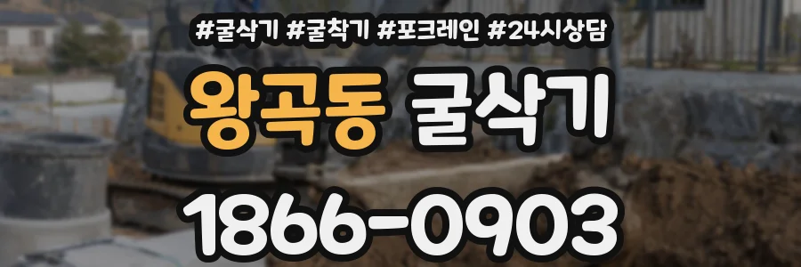 왕곡동 굴삭기