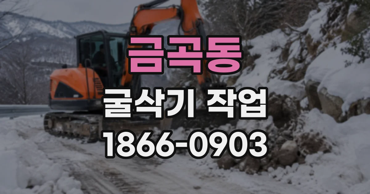 금곡동 굴삭기작업