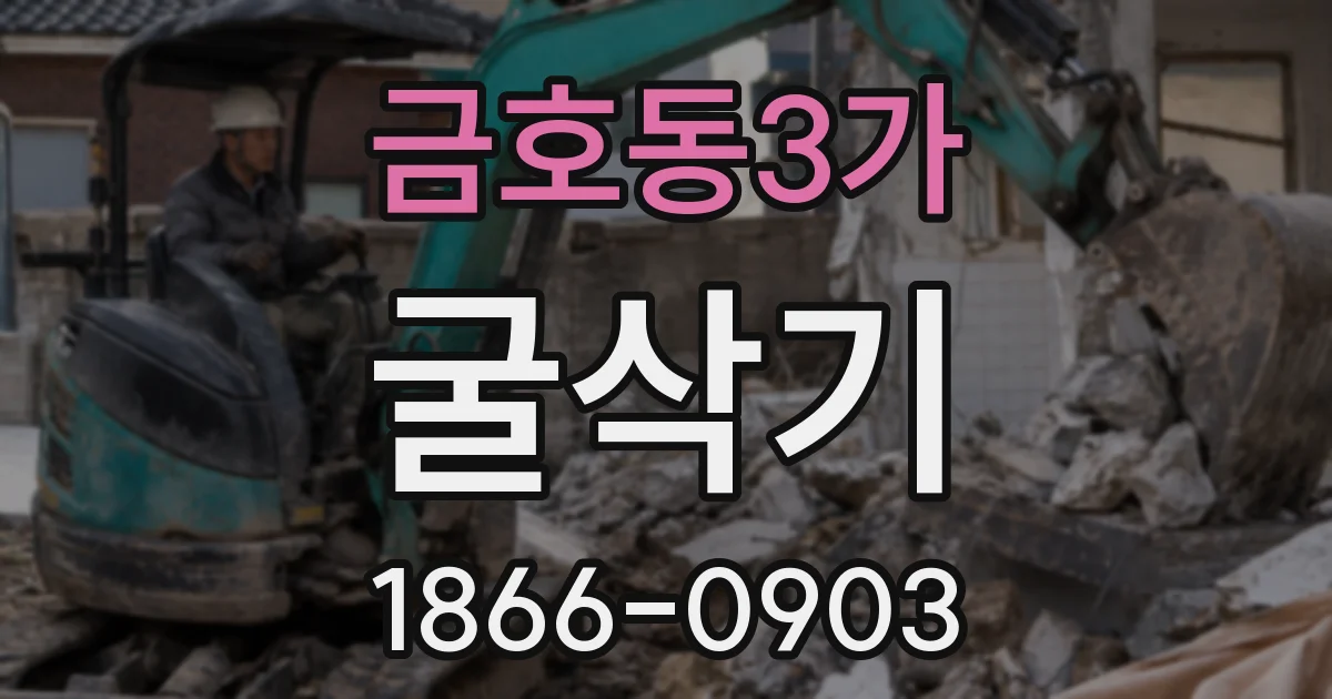 금호동3가 굴삭기