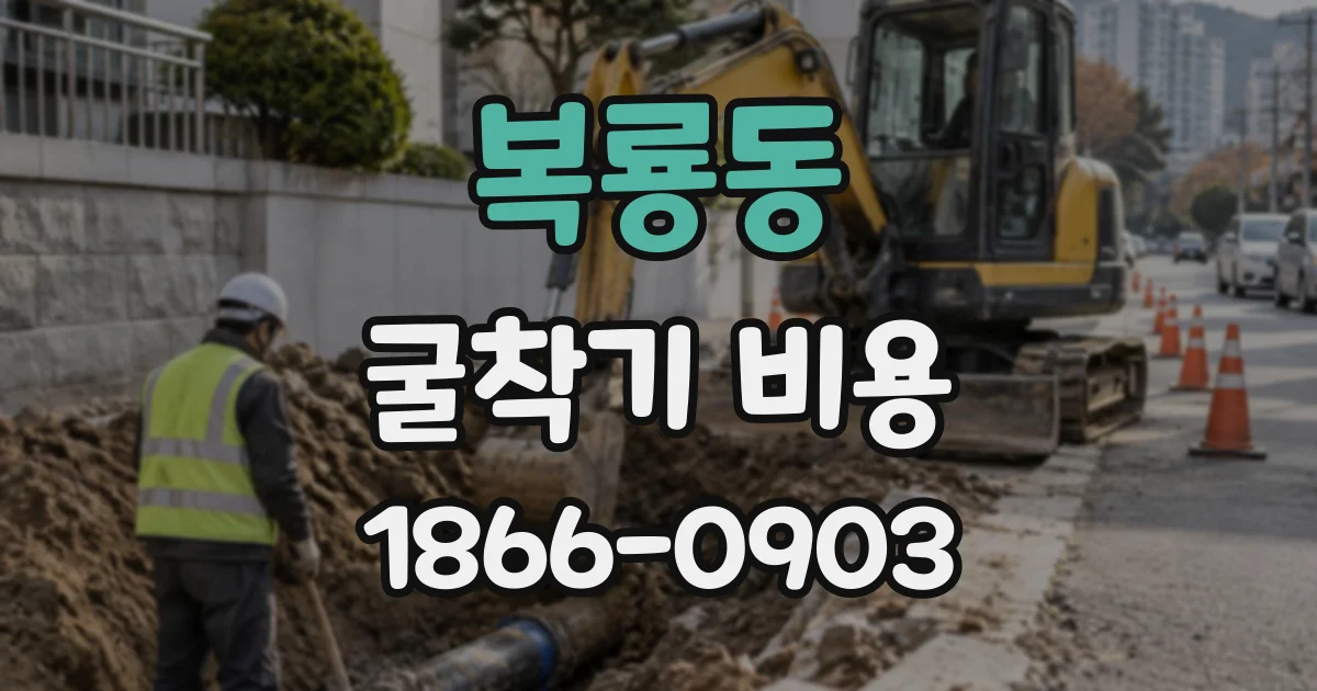 복룡동 굴착기비용