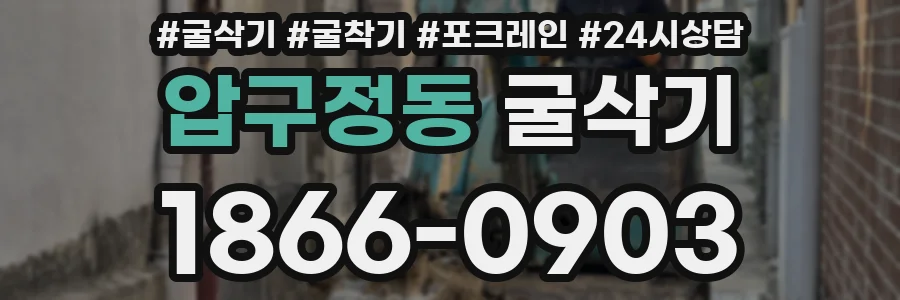 압구정동 굴삭기