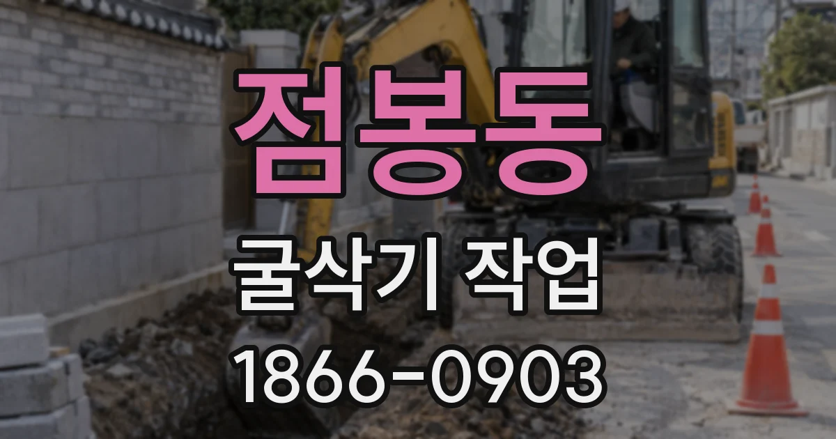 점봉동 굴삭기 작업