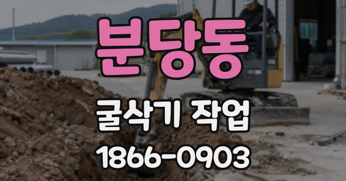 분당동 굴삭기 작업