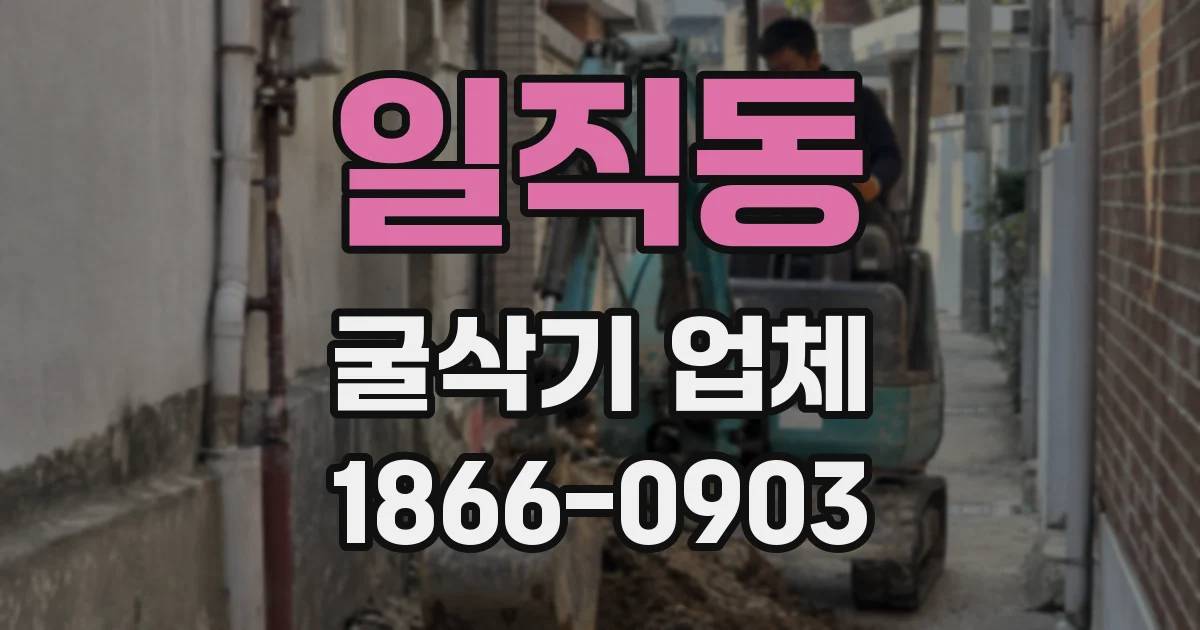 일직동 굴삭기 업체