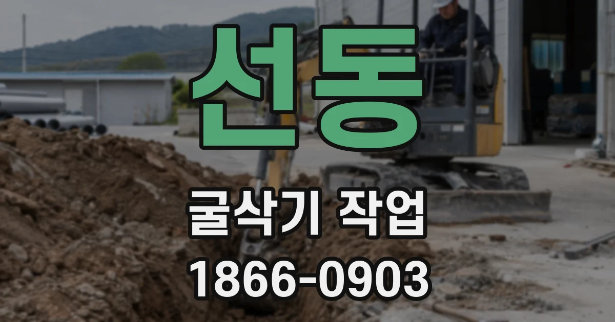 선동 굴삭기 작업
