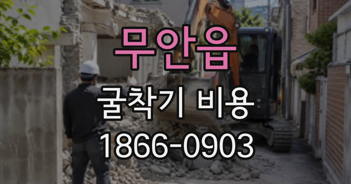 무안읍 굴착기비용