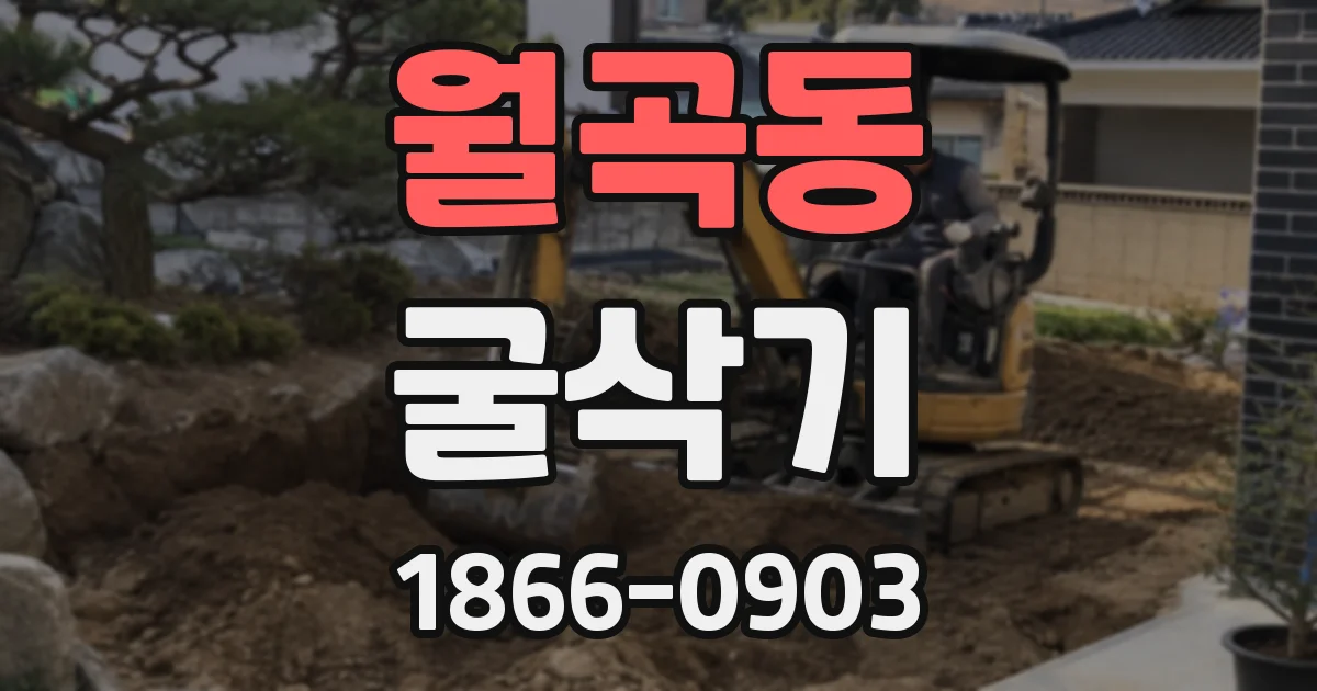 월곡동 굴삭기