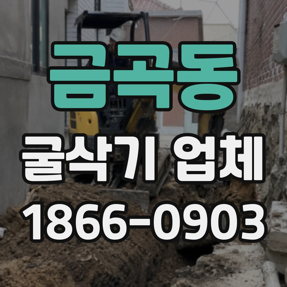 금곡동 굴삭기 업체