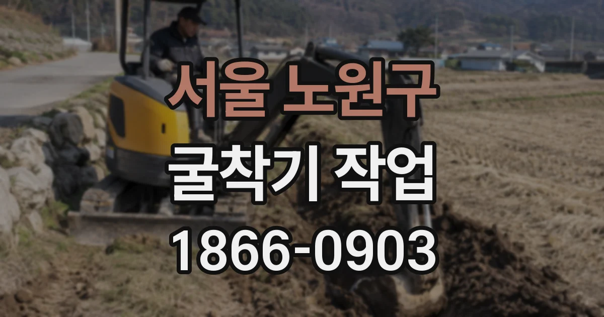 서울 노원구 굴착기 작업