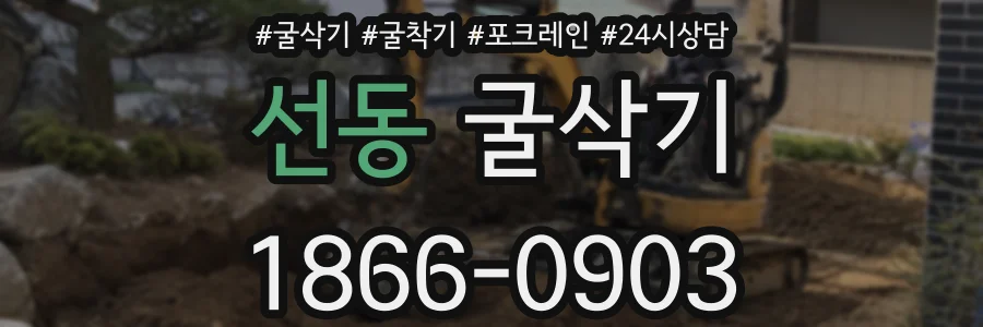 선동 굴삭기
