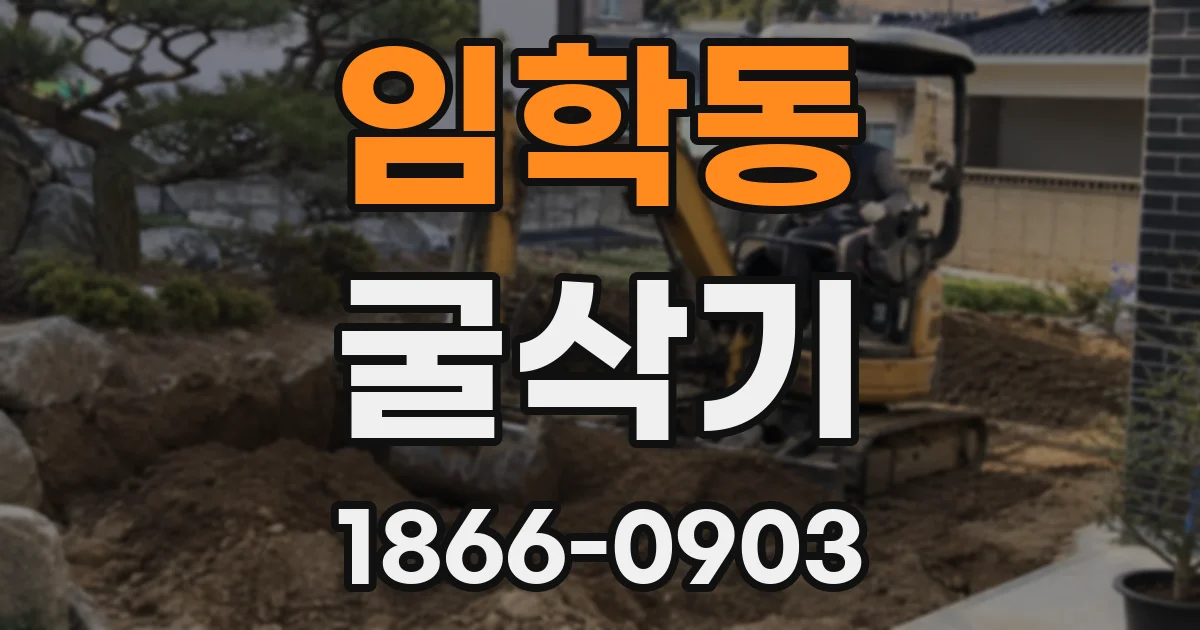 임학동 굴삭기