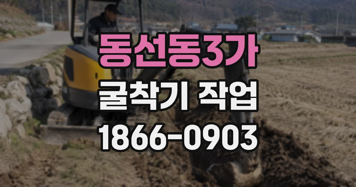 동선동3가 굴착기 작업