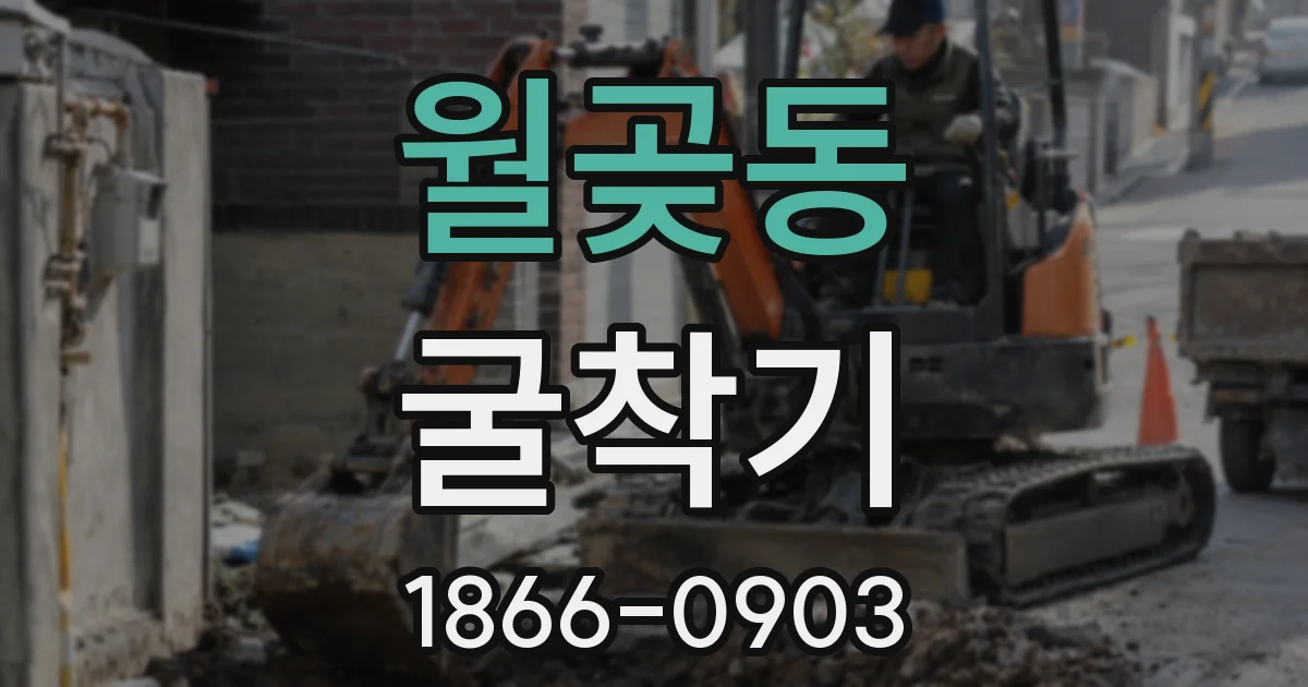 월곶동 굴착기