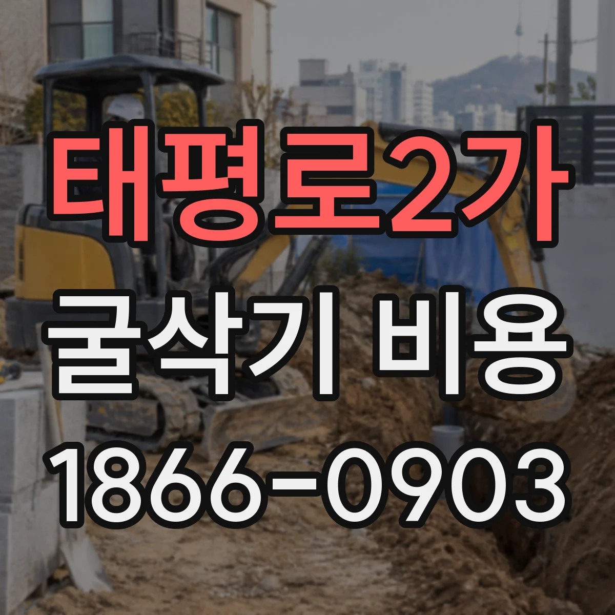 태평로2가 굴삭기 비용