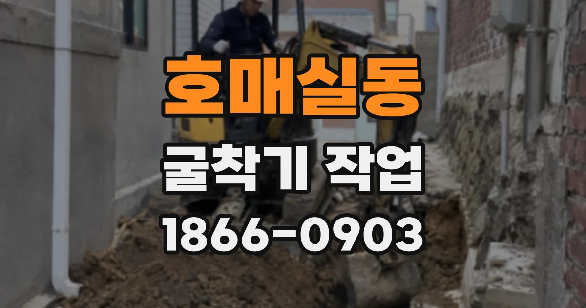 호매실동 굴착기 작업