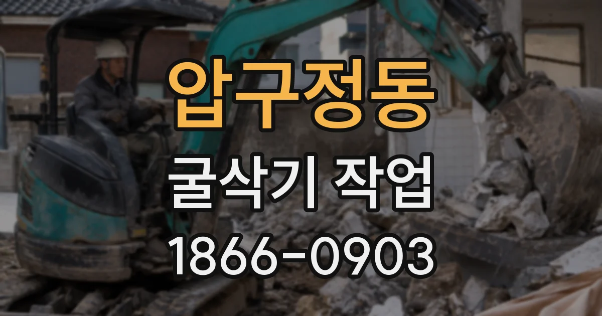 압구정동 굴삭기 작업
