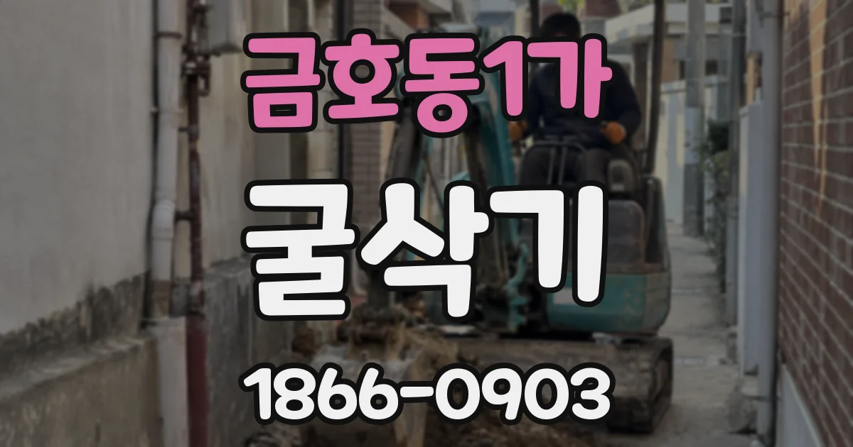 금호동1가 굴삭기
