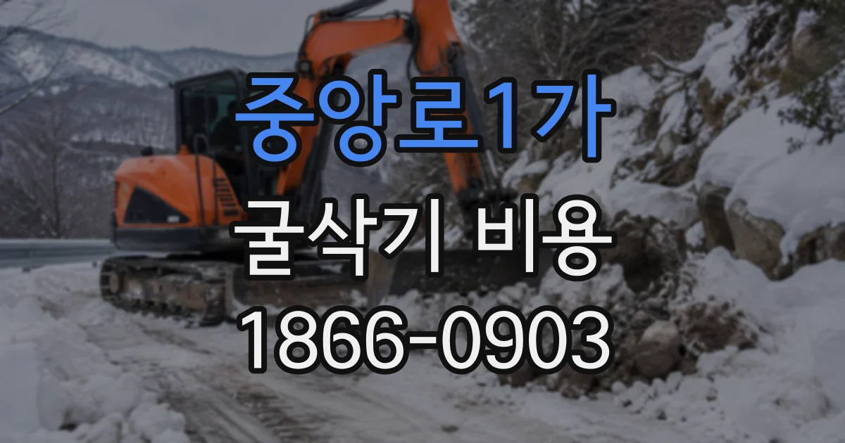 중앙로1가 굴삭기비용