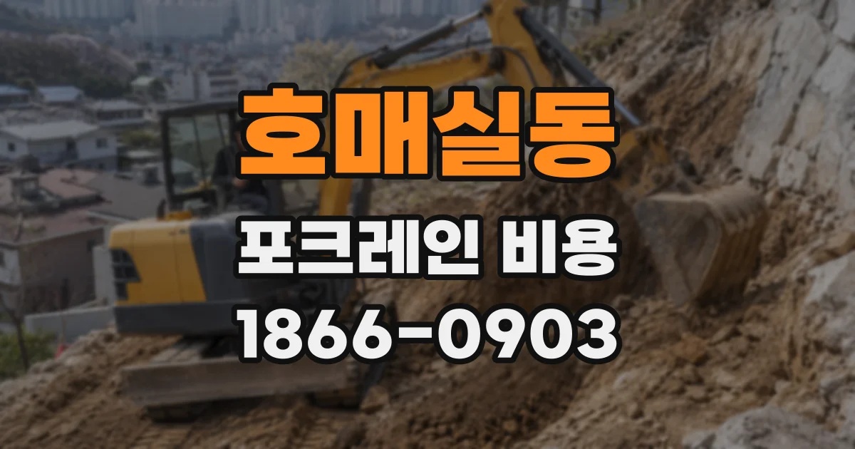 호매실동 포크레인 비용