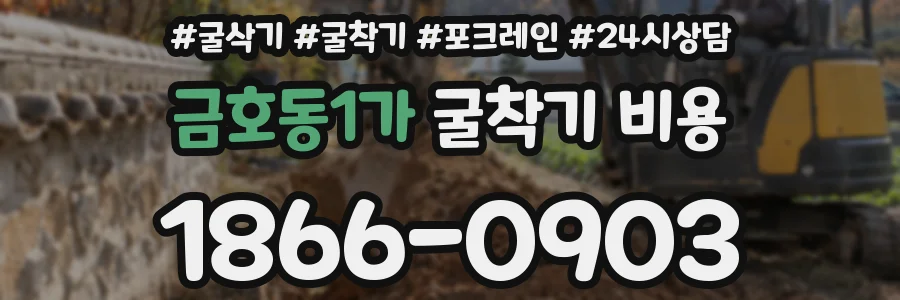 금호동1가 굴착기 비용