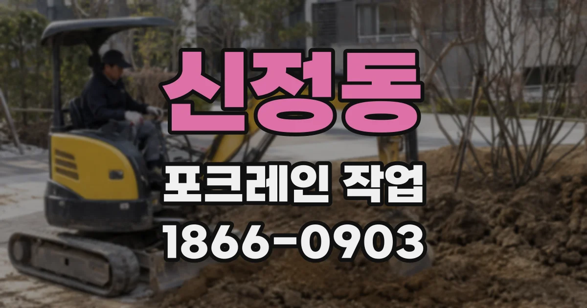 신정동 포크레인 작업