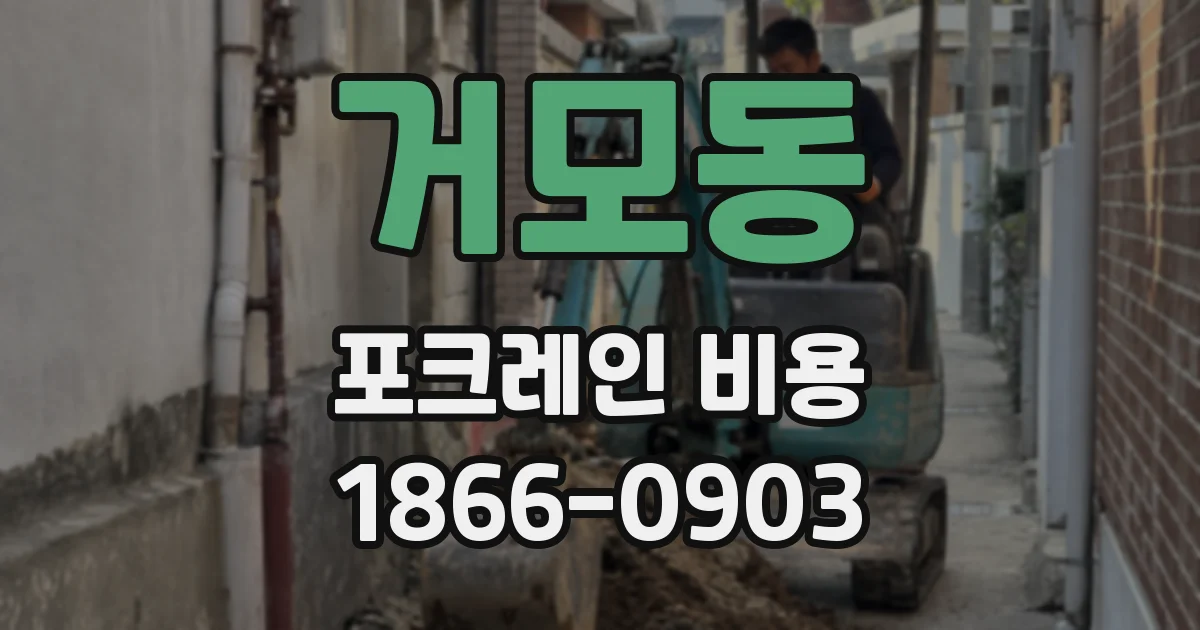 거모동 포크레인 비용
