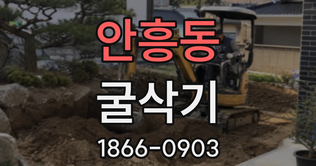 안흥동 굴삭기