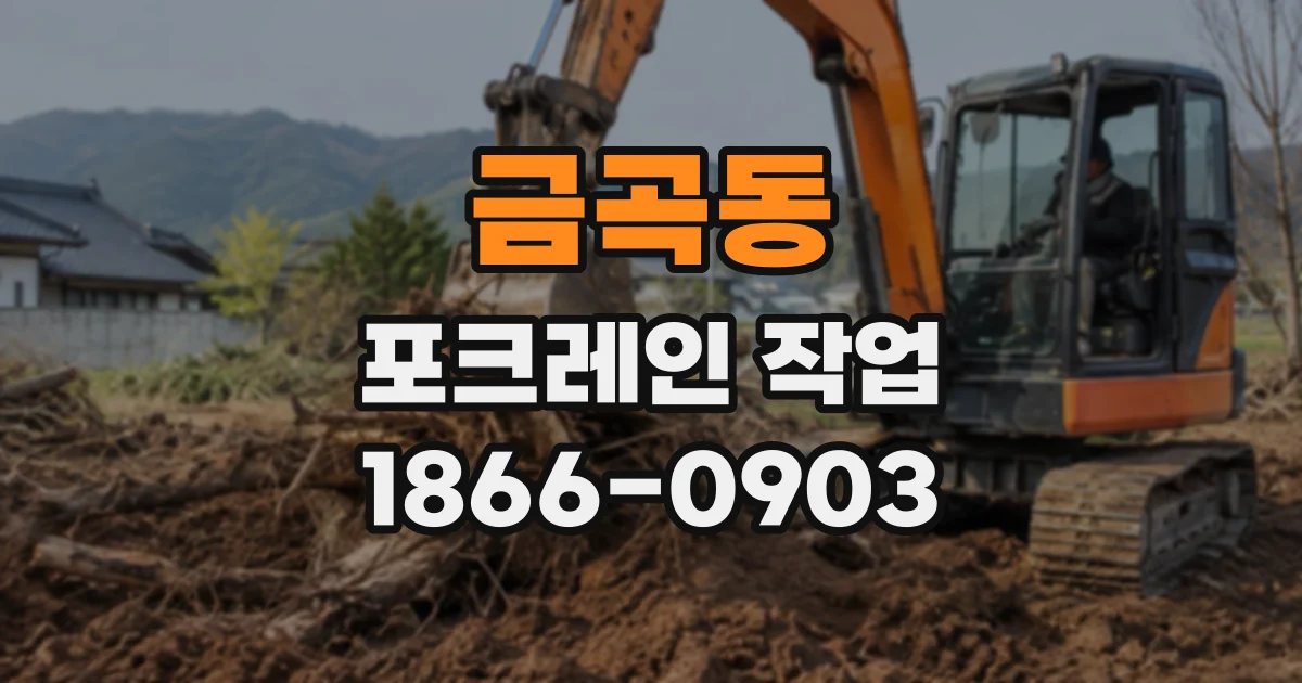 금곡동 포크레인작업
