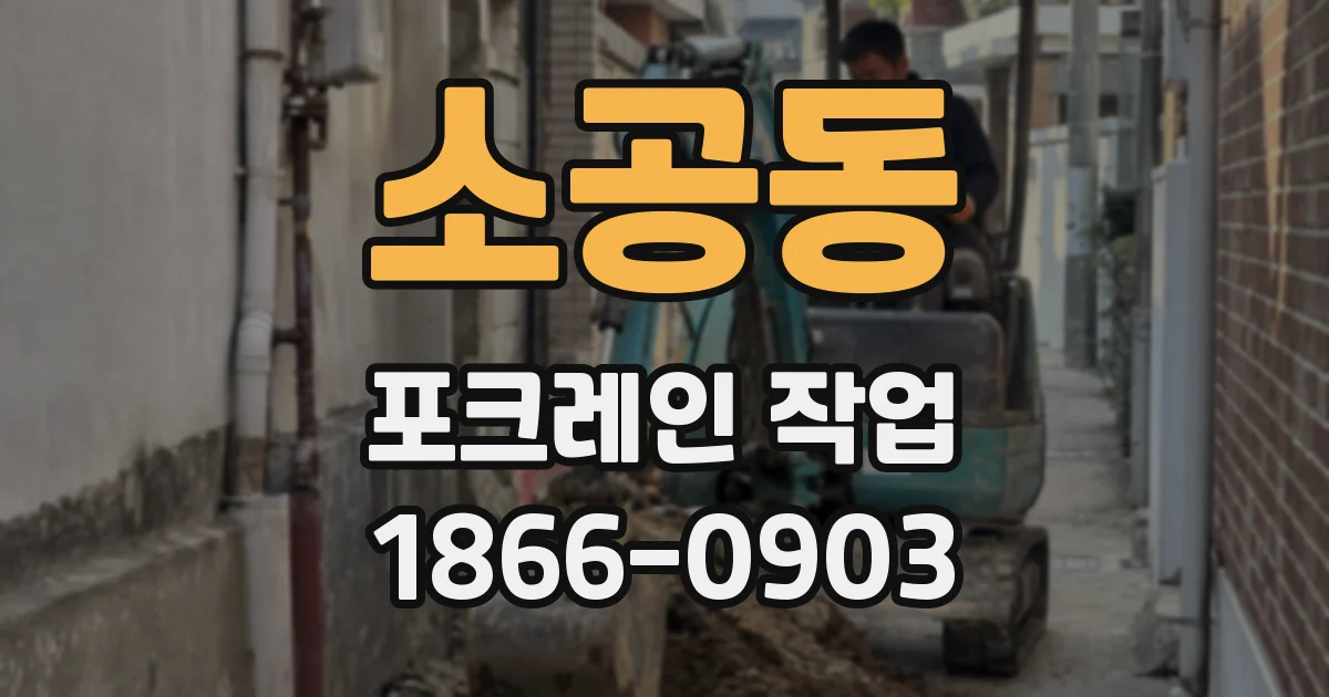 소공동 포크레인 작업
