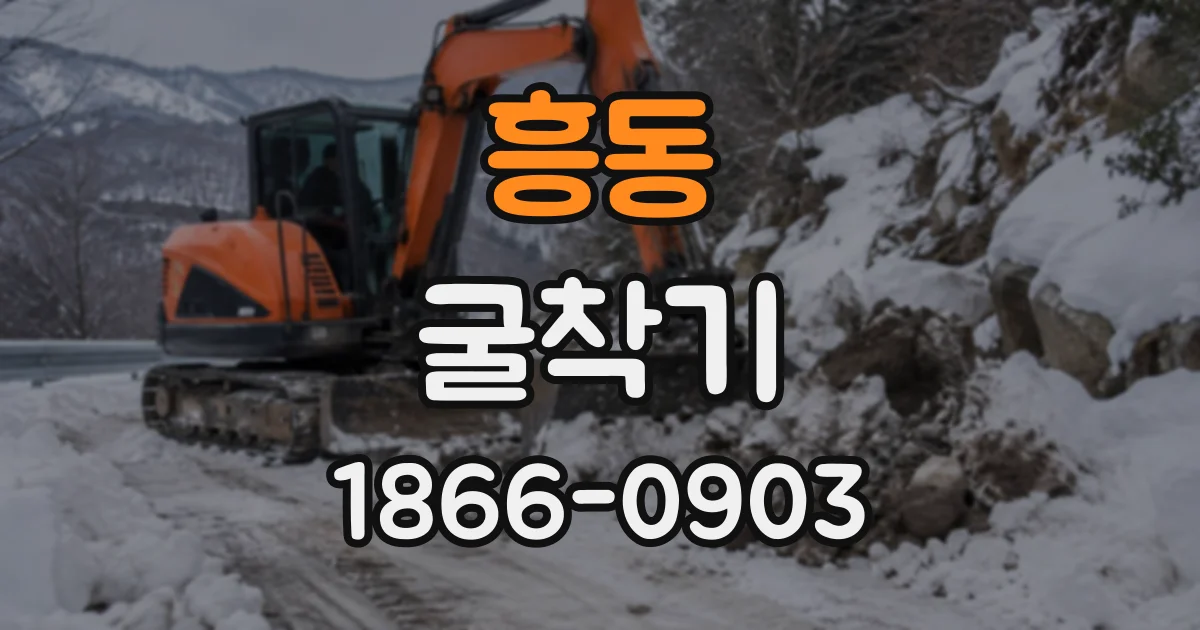 흥동 굴착기