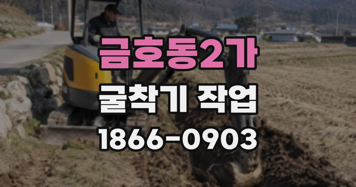 금호동2가 굴착기 작업