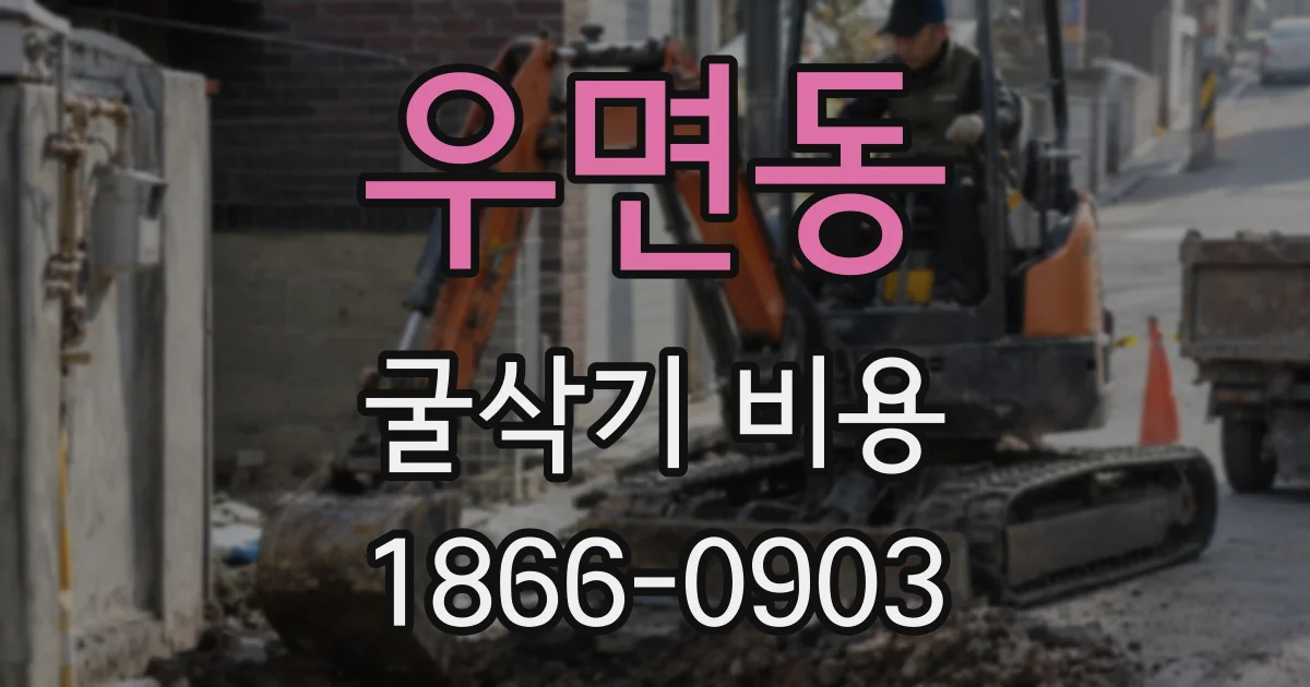 우면동 굴삭기 비용