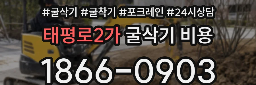 태평로2가 굴삭기 비용