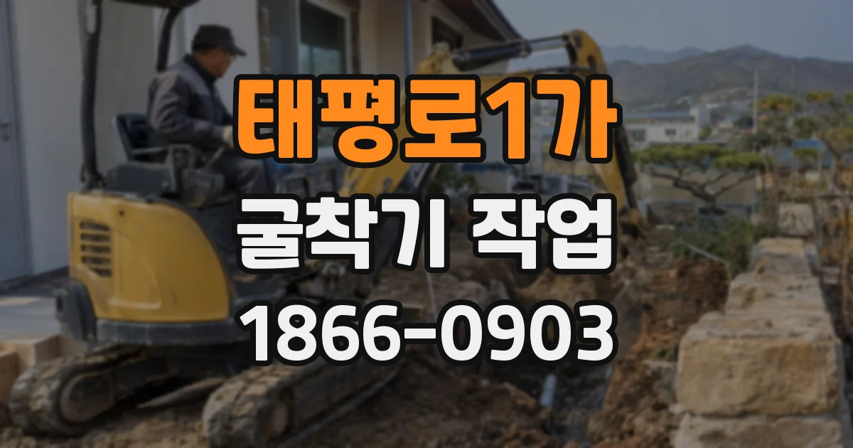 태평로1가 굴착기 작업